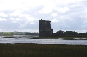 Château de Carrigafoyle