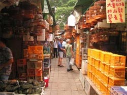 Marché des oiseaux et des fleurs