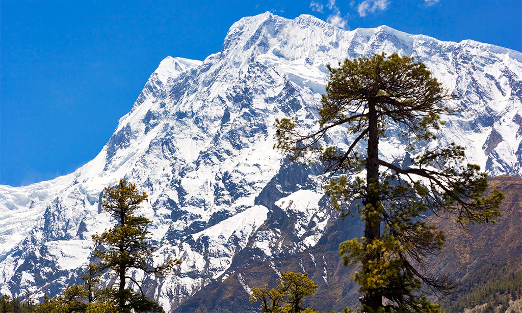 Annapurnas vue