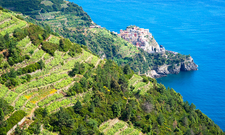 Randonnée Cinque Terre