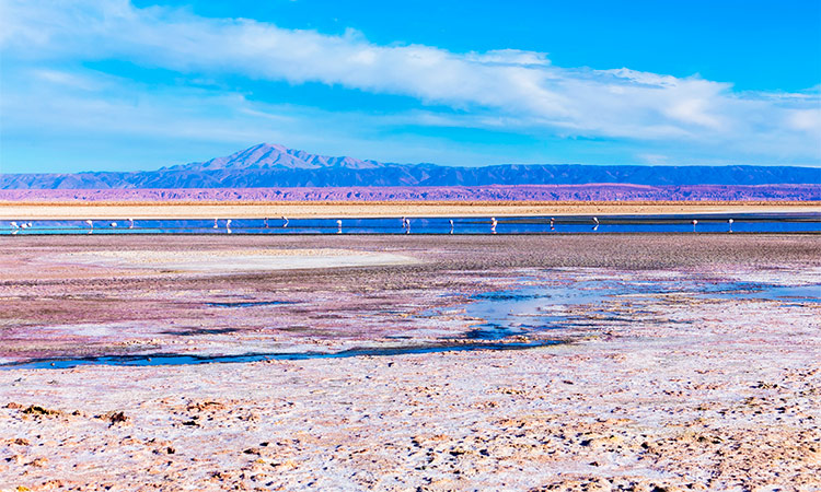 Desert Atacama Chili