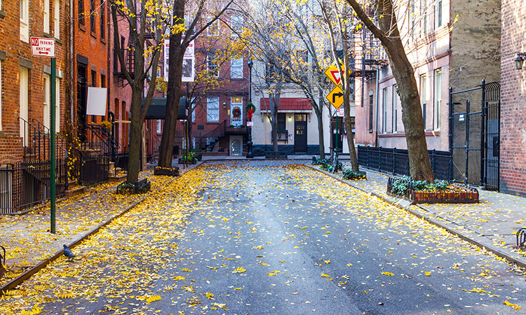 Greenwich village