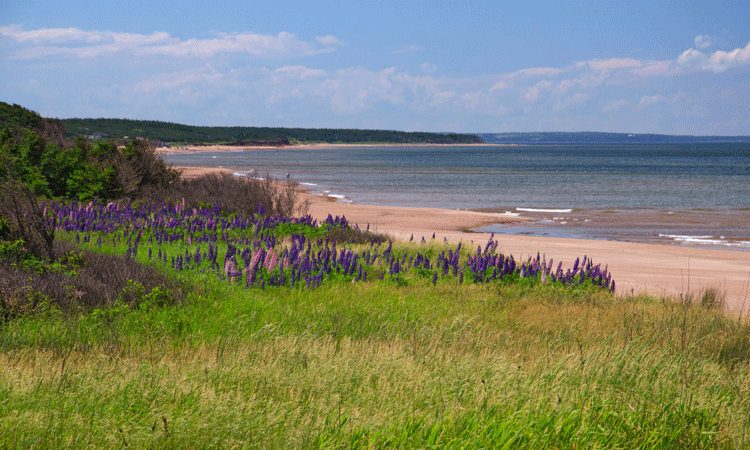 parc national de l’Île-du-Prince-Édouard