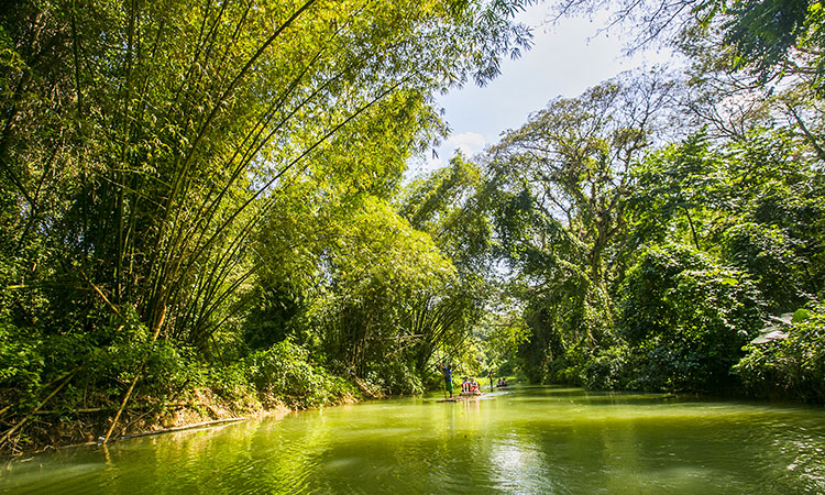 Black River, plus vielle ville de la Jamaïque