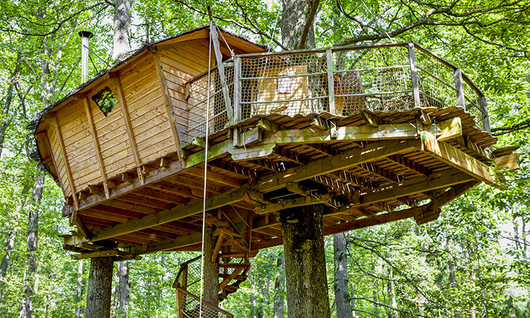 La cabane dans les arbres