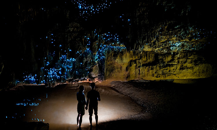 La Grotte Waitomo Glowworm, Nouvelle-Zélande