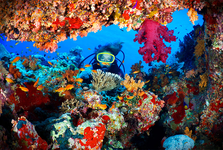 Une grotte de corail aux Bahamas