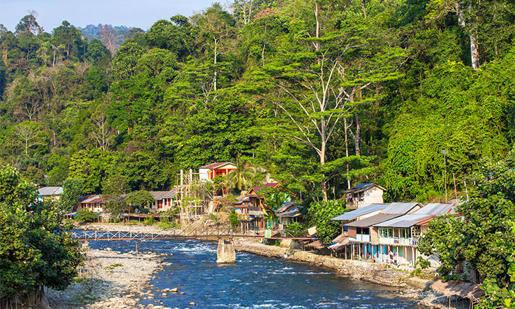 Village Bukit Lawang