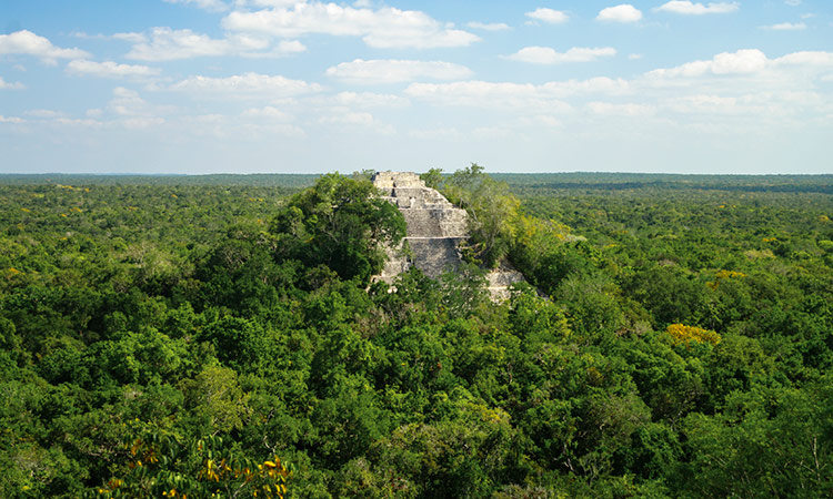 Calakmul Mexique