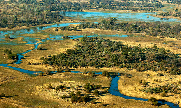 Delta Okavango