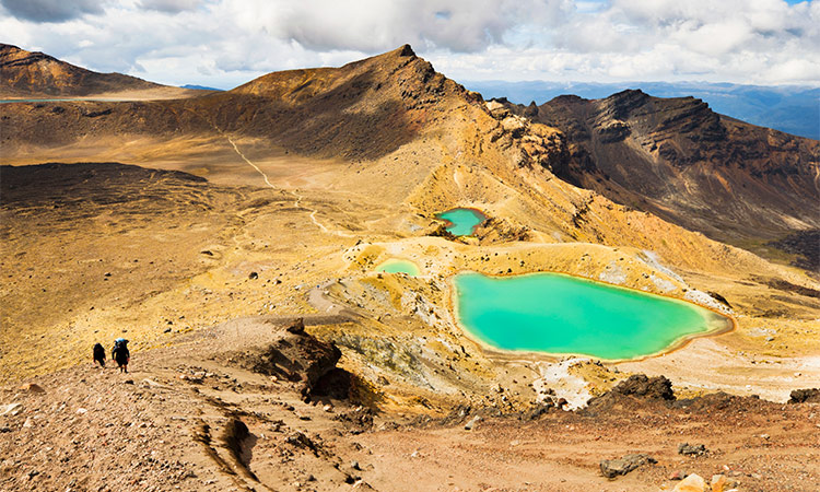 parc tongariro nouvelle zelande