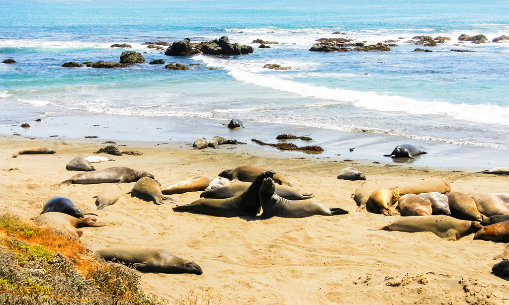 Piedras Blancas