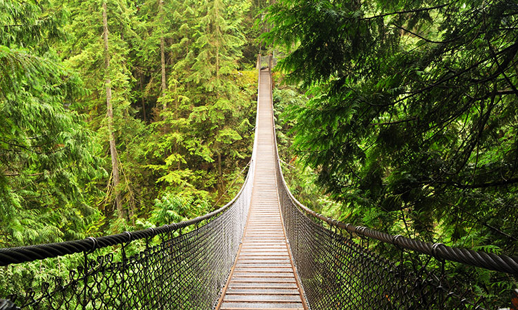 parc national lynn canada