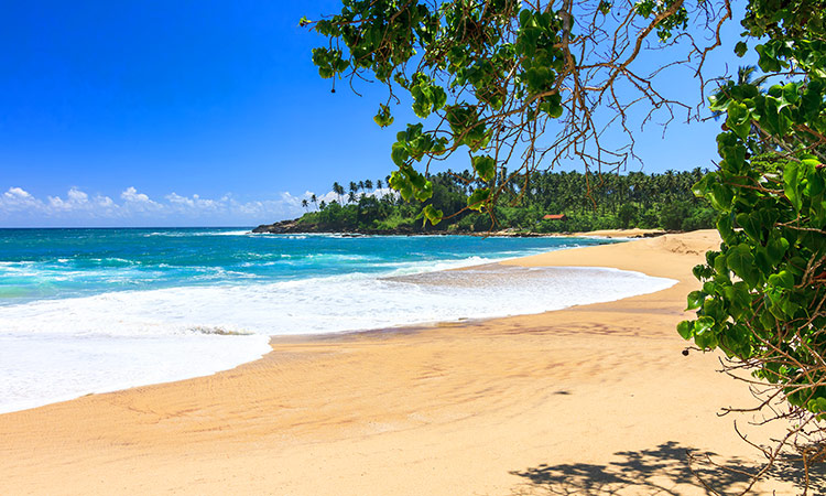 voyage rekawa beach