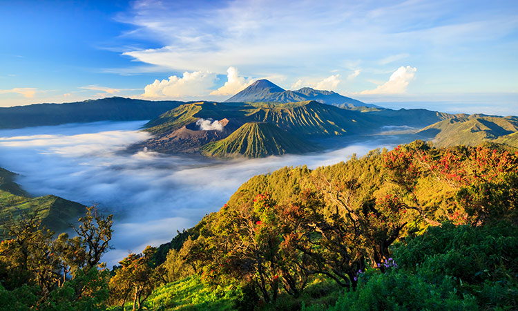 volcan bromo bali