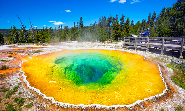 Morning Glory Pool Yellowstone