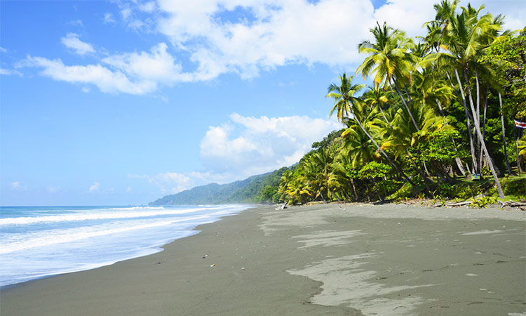 Plage Corcovado Costa Rica