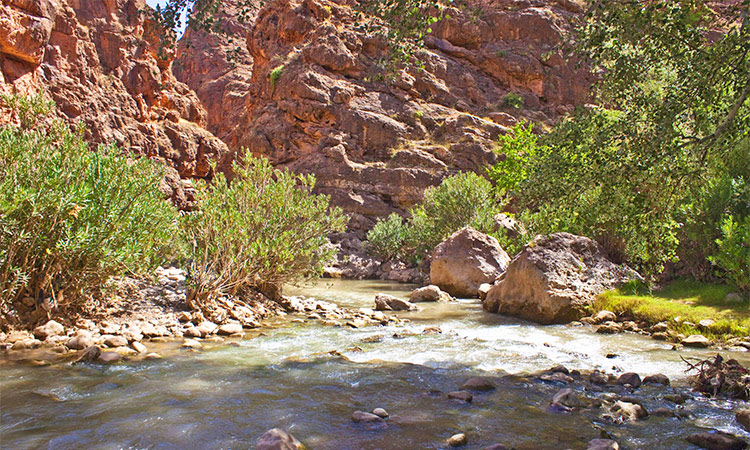 Gorges Dadès
