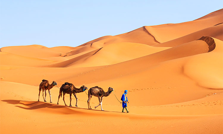 Merzouga Maroc