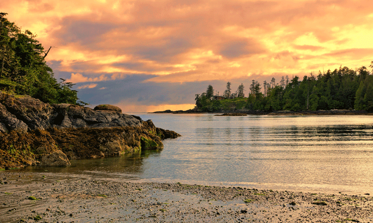 parc national du Pacific Rim