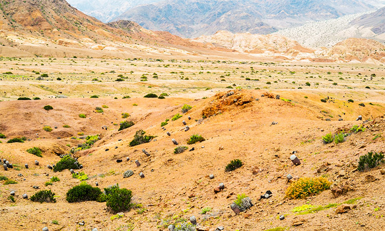 Parc national Pan de Azucar Chili