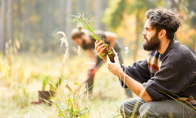 Participer à la reforestation