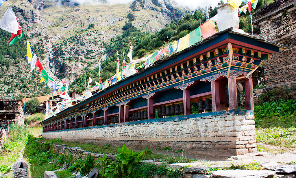 Pisang Nepal
