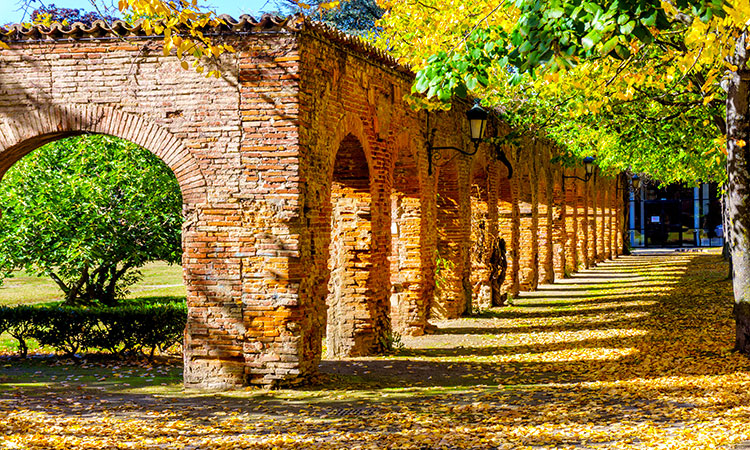 Quoi visiter a Toulouse en s'amusant