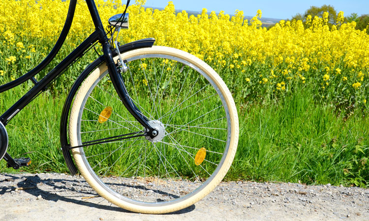 S’équiper de quelques instruments pour réparer le vélo lors d'un road trip