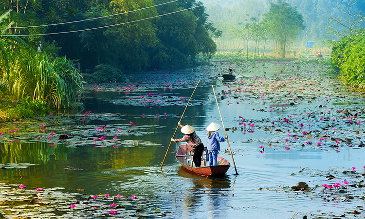 Voyage au Vietnam : possible ou pas possible