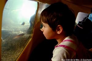 Un enfant observe les poissons par un hublot
