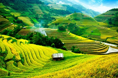 voyage vietnam sapa