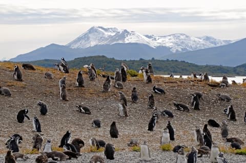Déserts glacés de l'extrême sud en argentine