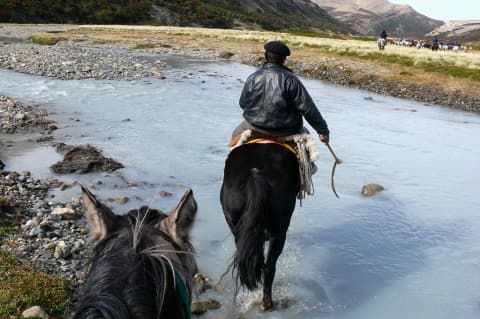 Argentine voyage transhumance