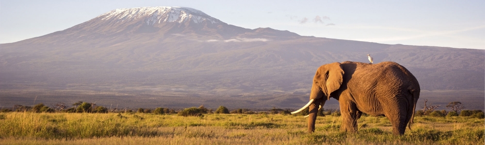 lih-amboseli